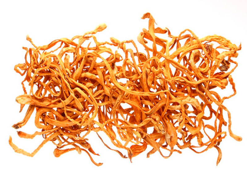 ถั่งเฉ้าสกัด (Cordyceps Sinensis) Assay 10%